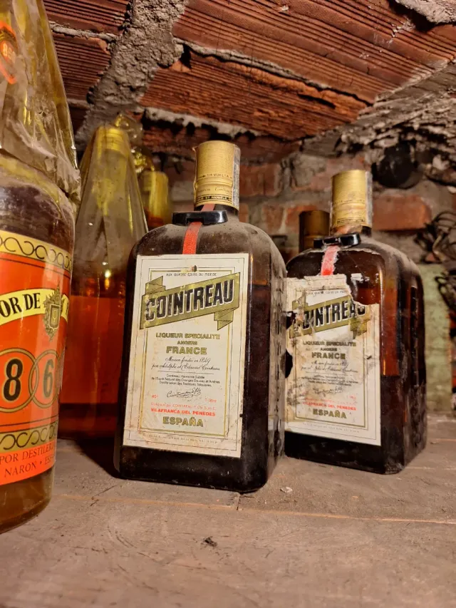 Bottiglie antiche di varie classi per la decorazione