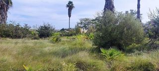 Casa rural en venta en Sueca ciudad en Sueca