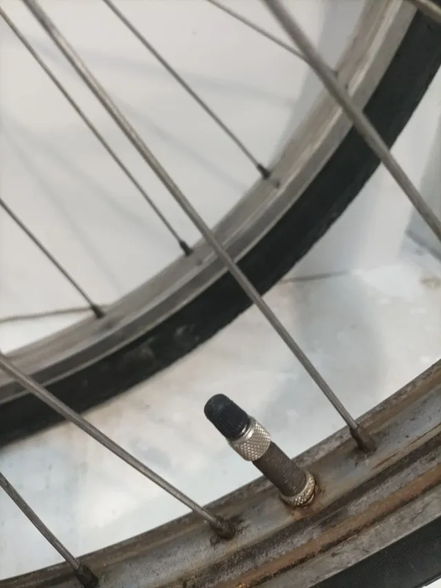 Ruedas de bicicleta (2 unidades)