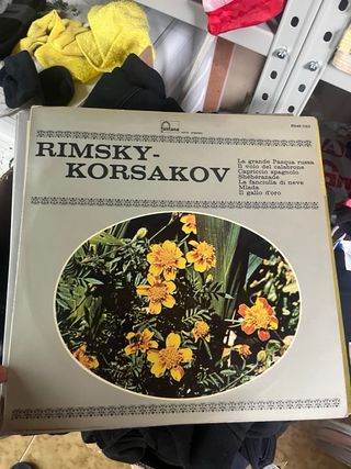 Lotto 13 vinili classici