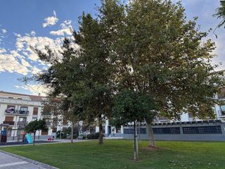 Ático en venta en Canet d´En Berenguer