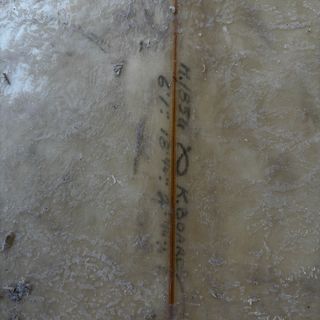 Tabla Surf Al Merrick