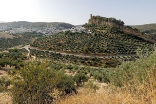 Casa rural en venta en Montefrío