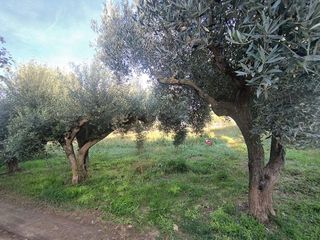 Casa rural en venta en Mas Trader-Corral D’En Tort-Corral D’En Cona en Cubelles