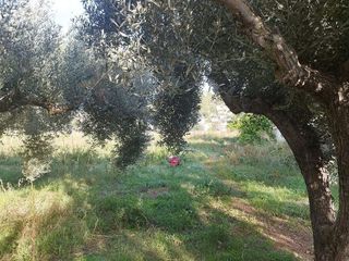 Casa rural en venta en Mas Trader-Corral D’En Tort-Corral D’En Cona en Cubelles