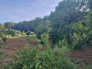 Casa rural en venta en Mas Trader-Corral D’En Tort-Corral D’En Cona en Cubelles