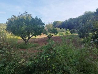 Casa rural en venta en Mas Trader-Corral D’En Tort-Corral D’En Cona en Cubelles