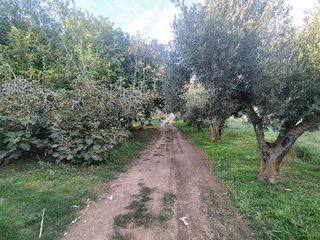 Casa rural en venta en Mas Trader-Corral D’En Tort-Corral D’En Cona en Cubelles