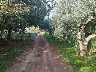 Casa rural en venta en Mas Trader-Corral D’En Tort-Corral D’En Cona en Cubelles