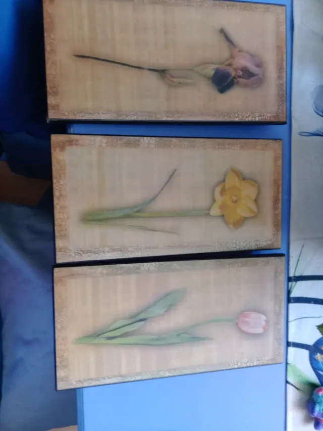 Set 3 Cuadros Flores Vintage