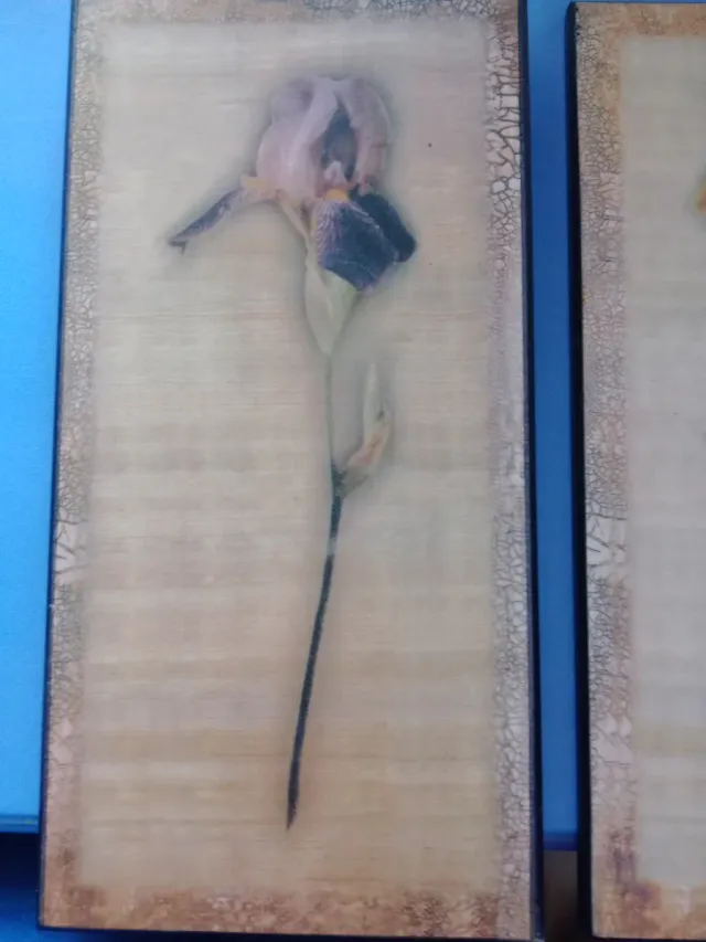 Set 3 Cuadros Flores Vintage