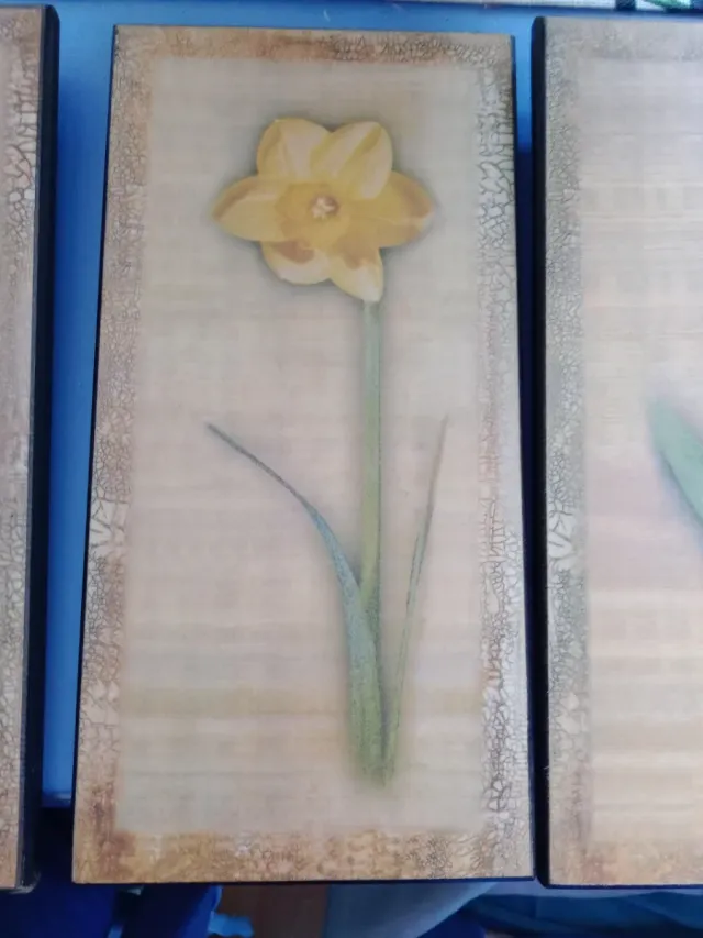 Set 3 Cuadros Flores Vintage