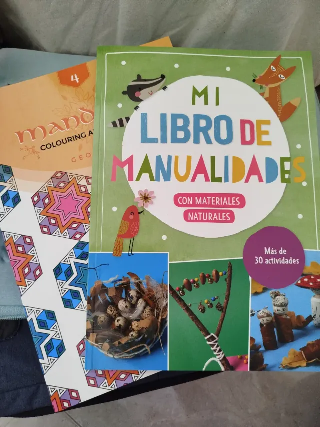 Libro de manualidades