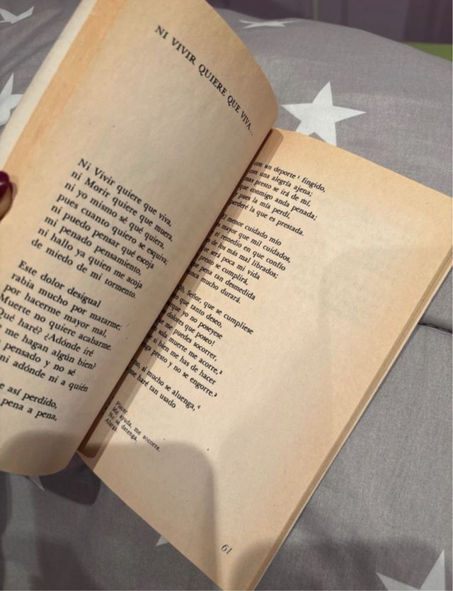 Coplas a la muerte de mi padre