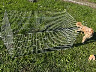 Recinto metallico per piccoli animali