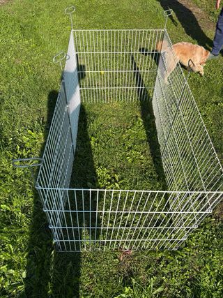 Recinto metallico per piccoli animali