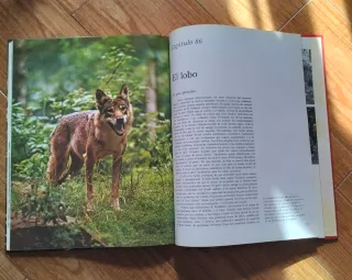 Enciclopedia Salvat de la Fauna