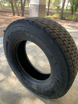 Neumáticos Camión