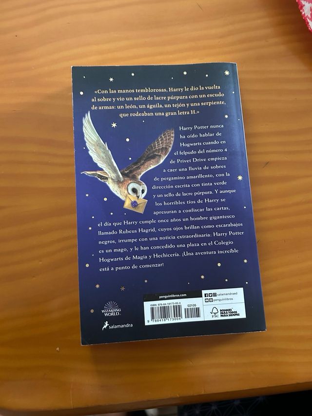 Harry Potter y la piedra filosofal (Harry Potte...