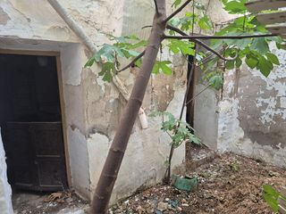 Chalet en venta en Quintanar de la Orden