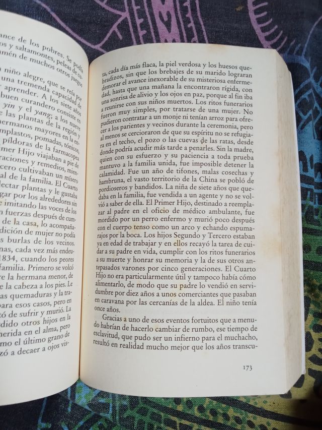 Hija de la fortuna (Spanish Edition)