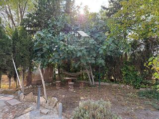 Casa en venta en San Pablo - Santa Teresa en Albacete