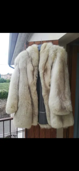 Pelliccia volpe Groenlandia