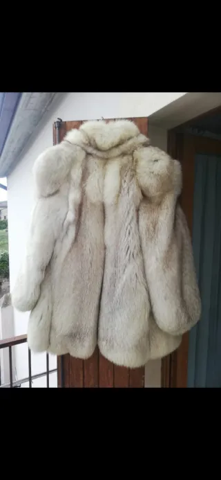 Pelliccia volpe Groenlandia