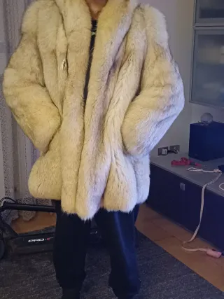 Pelliccia volpe Groenlandia