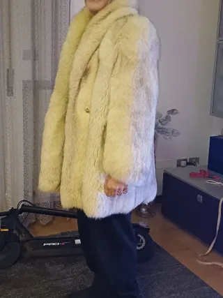 Pelliccia volpe Groenlandia