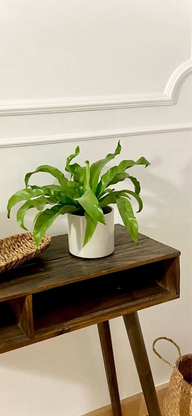 Consola Vintage Madera y Cristal