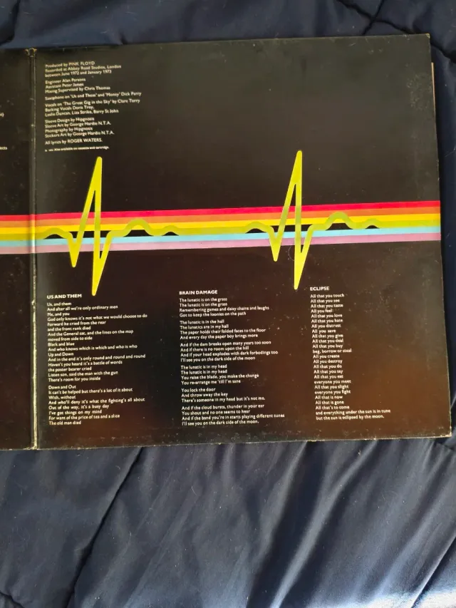 Album in vinile Pink Floyd