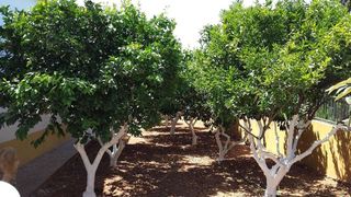 Casa en venta en Rinconada (La)