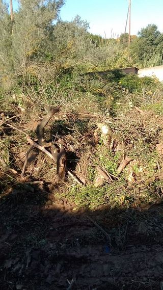 Terreno en venta en Guiera - Montflorit en Cerdanyola del Vallès