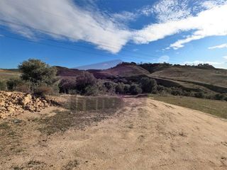 Terreno en venta en Altos de Jarama en Paracuellos de Jarama