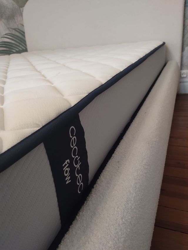 Colchón y Canapé Abatible SIN USAR