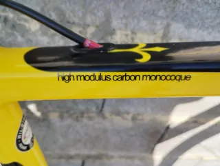 Wilier GTR SL Campagnolo Chorus