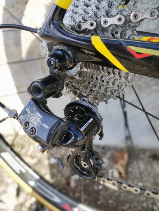 Wilier GTR SL Campagnolo Chorus