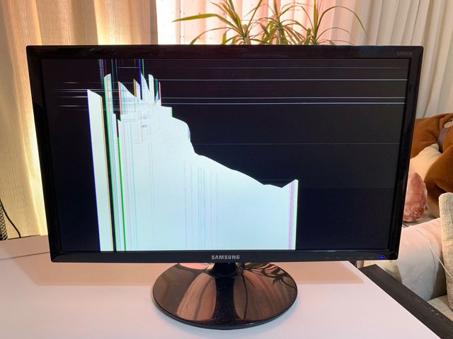 Monitor Samsung 24 Negro