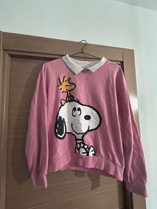 Varios chándal niña, Todos 20€ Sudaderas