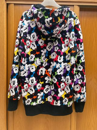 Sudadera Disneyland Paris. Perfil solidario