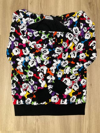 Sudadera Disneyland Paris. Perfil solidario