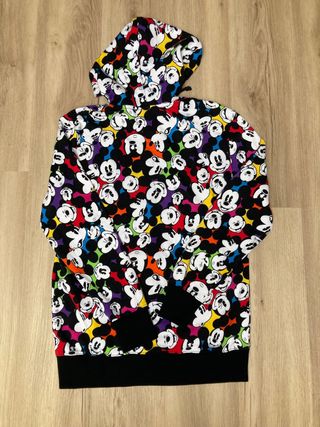 Sudadera Disneyland Paris. Perfil solidario