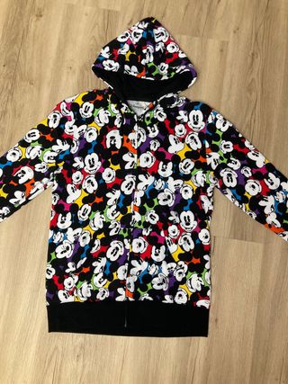 Sudadera Disneyland Paris. Perfil solidario