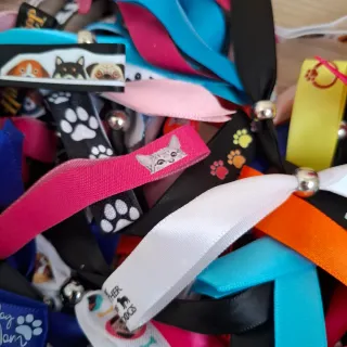 Lote 50 Pulseras Multicolor