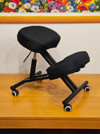 Sedia ergonomica con ruote