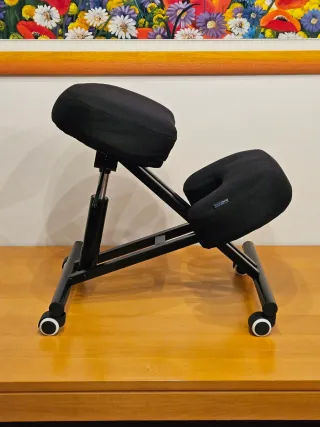 Sedia ergonomica con ruote