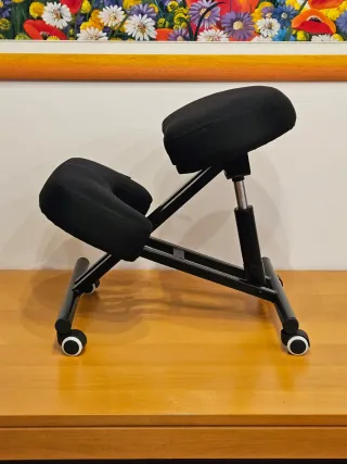 Sedia ergonomica con ruote