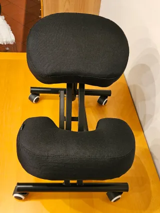 Sedia ergonomica con ruote