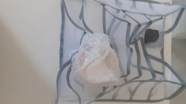 Organizador de armario